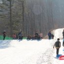 물맑은양평 빙어축제 2019 이미지