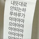 집순이