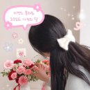 미엔느플라워