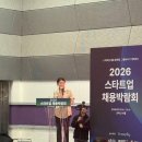 팀스