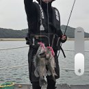 덕진호 좌대낚시터 이미지