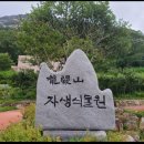 용궐산마트