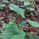 하루네 농장 이미지