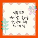 철갑옷의 비밀 이미지