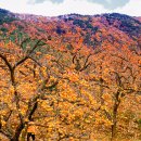 11월 둘째주 주식시황 이미지