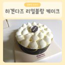 하겐다즈 - 서초구 서초대로38길 12 | 카톡 선물 - 하겐다즈 리얼블랑 케이크 후기