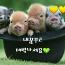 로또천국 이미지