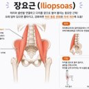 윤필라테스 - 거제시 옥포중앙로 81 | 윤필라테스
