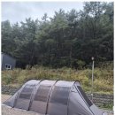 영덕 천연 탄산수 캠핑장 | 영덕캠핑 영덕천연탄산수캠핑장에서의 특별한 캠핑 체험