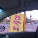 천안 강아지 유치원 &#39;아리네개치원&#39; 내돈내산 후기