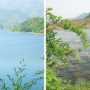 평촌공원 공중화장실 이미지