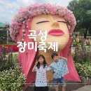 2026 곡성 장미축제 기간 날짜 입장권 전라도 아이랑 후기