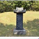 박동명 묘소 티스토리