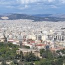 감람농장 이미지