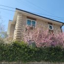 청춘여관 이미지