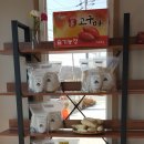 슬기네농장 이미지