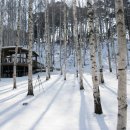 인제04-2 이미지