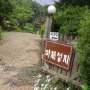 성지연꽃길 Daum카페