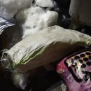 코인 스테이지 노래연습장 이미지