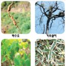 술독 - 천안시 서북구 | 술독