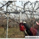 행복한사슴농장 이미지