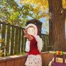 새를 타고 나는 사 | 어느 새 겨울 일상 _ 생일 주간 🎉