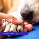 좋은 친구들 동물병원 이미지