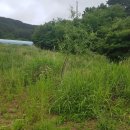 사미정민박 이미지