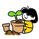 핑크래디시