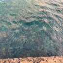 블루오션2민박 이미지