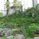 금강산조경