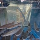 서포시장길 이미지