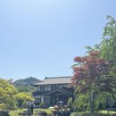 노단리(장수) | 경상남도 가볼만한 곳 / 합천 영상테마파크 / 봉화산 철쭉단지