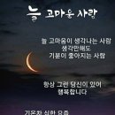 금빛시간 이미지