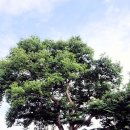 당산1리 이미지