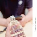 레빗온더문