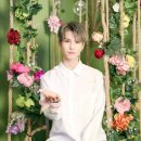 원포유 카카오 검색결과