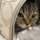 뿌리민박 이미지