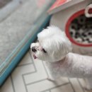 더스타일샵 이미지