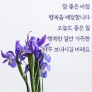 목요일 행복만땅 인사말 이미지 이미지