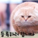 대구전산