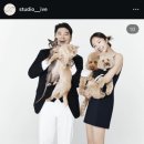 W08-2. 스드메 중 스튜디오 정하기 : 뒤늦게 알게된 인물중심 스튜디오들 (노마하우스, 이경호...