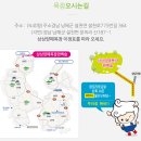 상상장어 이미지
