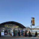 반장농장 | 청주 딸기밭 강반장딸기 딸기체험 후기