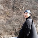 라이네쎄 - 2644 | 라이네쎄