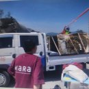 중원축산 이미지