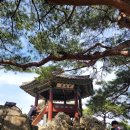 관북리유적 | [부여] 부여 관북리유적/ 낙화암/ 부소산성 근처 맛집까지!