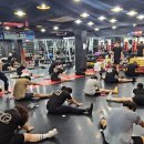 탑비트복싱클럽 이미지