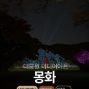 로제미디어 | 가을 경주 여행 황리단길 가볼만한곳 소개 대릉원미디어아트 몽화 후기 자리꿀팁