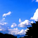 금천체육관 이미지